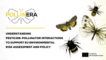 Understanding pesticide-pollinator interactions to support EU Environmental Risk Assessment and policy: The PollinERA project