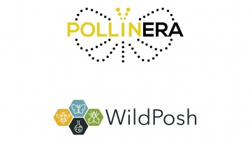 Towards a better understanding of exposure routes and toxicological and ecological impacts of chemical pollution on terrestrial biodiversity