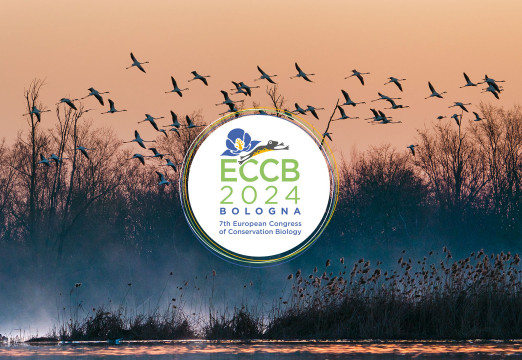 ECCB 2024