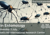 AI in Entomology