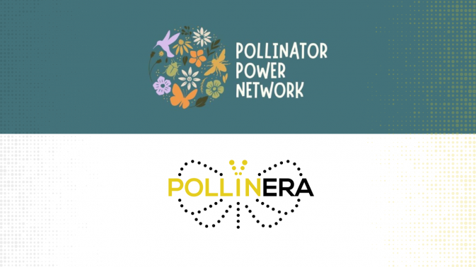 PollinERA featured in the Pollinator Power Network newsletter