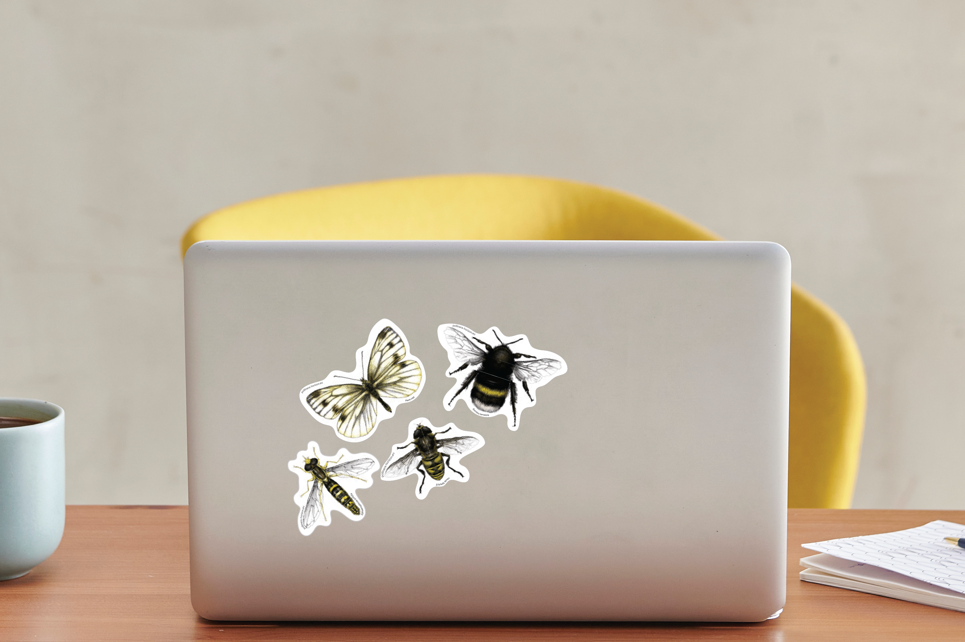 Study species sticker