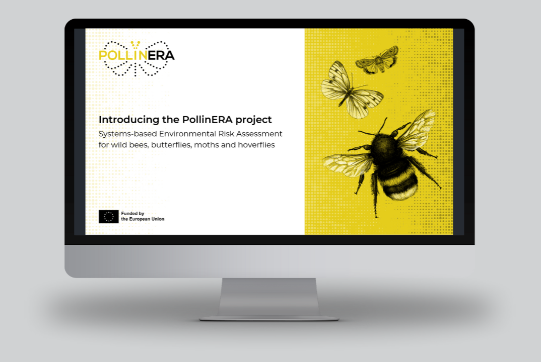 Introductory presentation