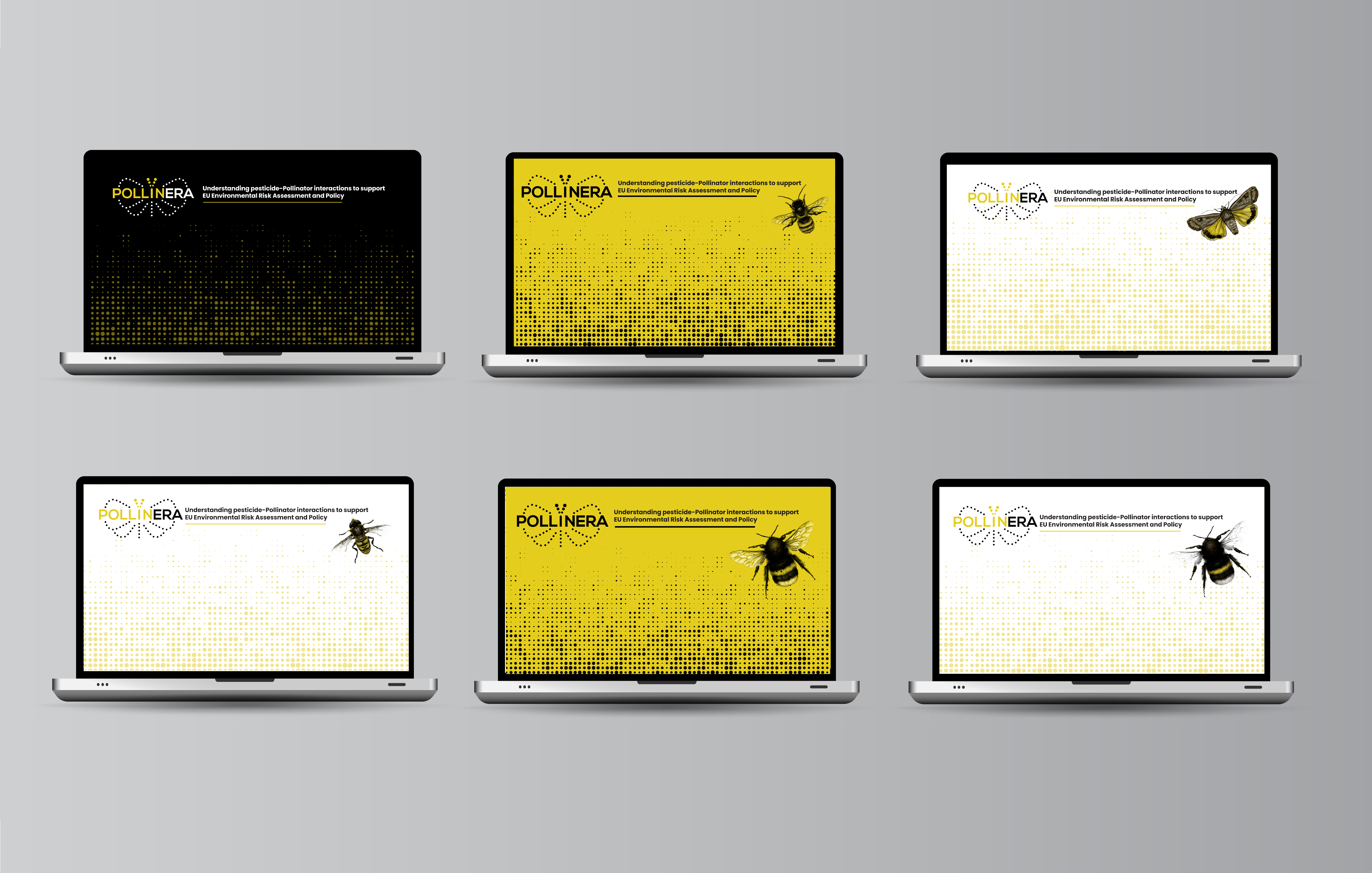 Virtual meeting backgrounds