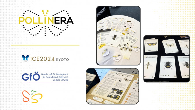 PollinERA beyond borders: Project materials showcased at multiple events this summer