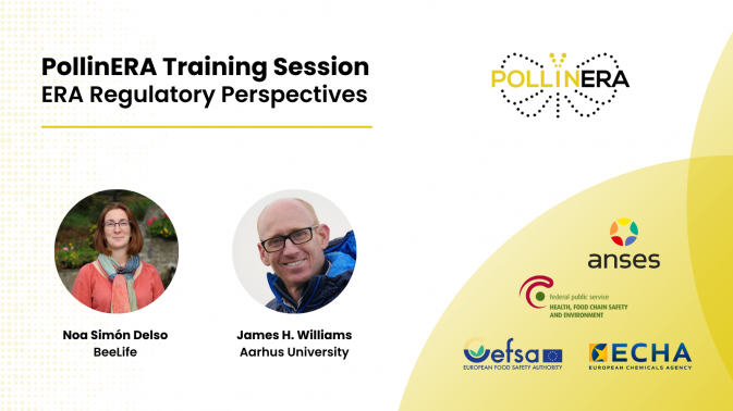First PollinERA Training Session: ERA Regulatory Perspectives
