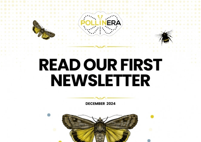 Just released: PollinERA's first newsletter