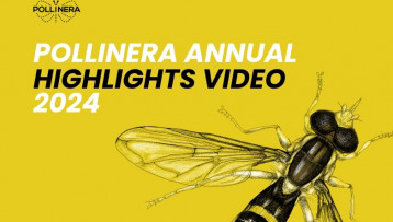 A look back at 2024: New PollinERA video