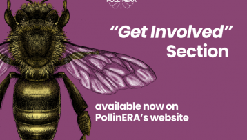 Get involved in PollinERA: New website section launched