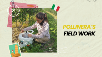 A look back at PollinERA’s fieldwork in 2024: Italy