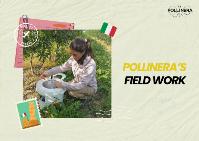 A look back at PollinERA’s fieldwork in 2024: Italy