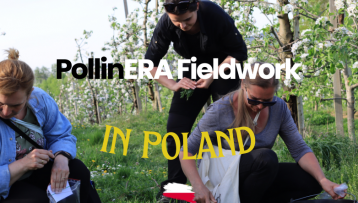 A look back at PollinERA’s fieldwork in 2024: Poland