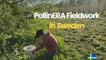 A look back at PollinERA’s fieldwork in 2024: Sweden