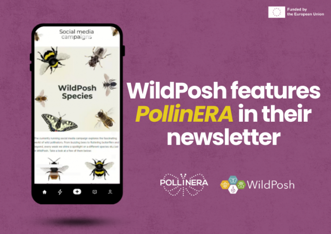 PollinERA Featured in WildPosh’s Newsletter