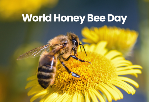World Honey Bee Day 2025