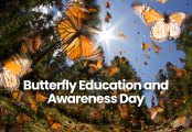 Butterfly Education and Awareness Day 2025
