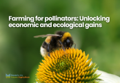 Farming for pollinators: Unlocking economic and ecological gains