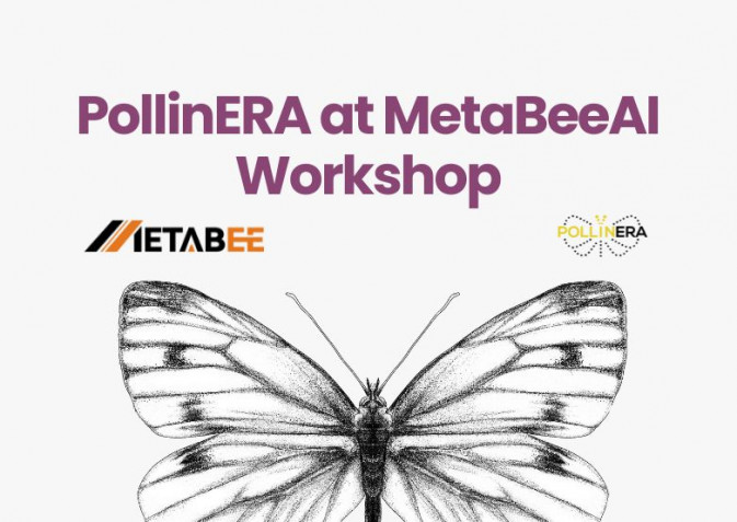 PollinERA presented at MetaBeeAI Workshop in Oxford to foster project synergies