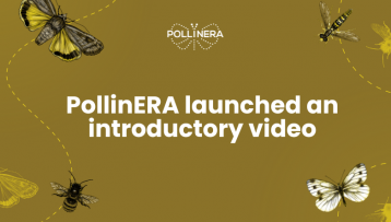 New approach to environmental risk assessment: The PollinERA project video