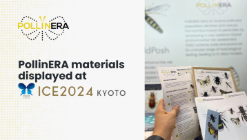 PollinERA project materials displayed at ICE2024