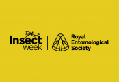 Insect Week 2026