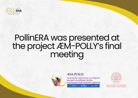 PollinERA presented at the final event of the Italian national project ÆM-POLLY