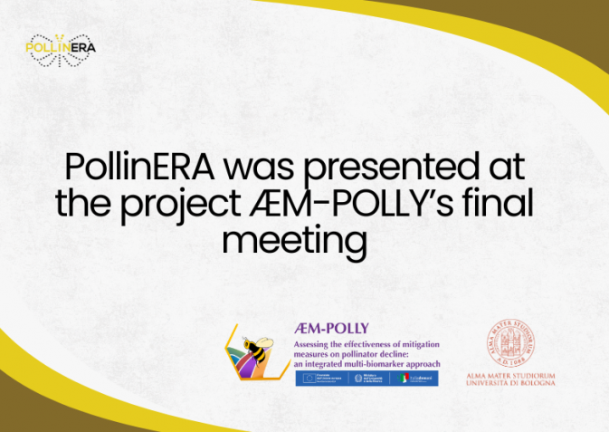 PollinERA presented at the final event of the Italian national project ÆM-POLLY