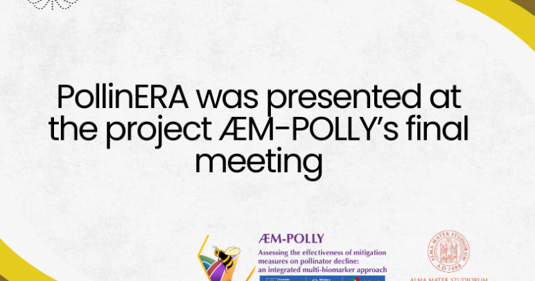 PollinERA presented at the final event of the Italian national project ÆM-POLLY