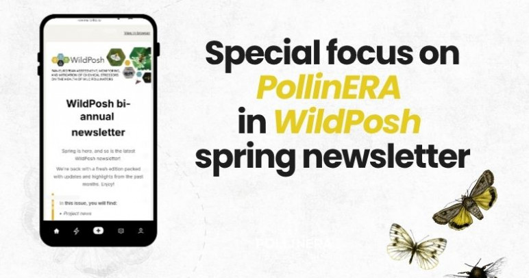 PollinERA in focus in WildPosh’s Newsletter