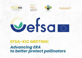 Four projects for pollinator protection presented at a thematic EFSA-KIC meeting