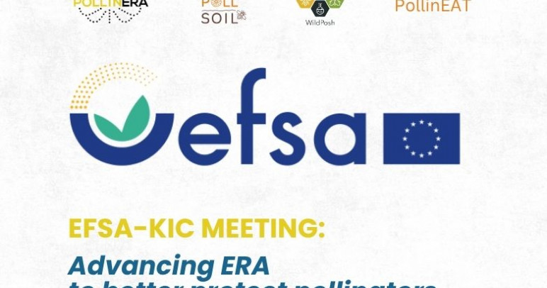 Four projects for pollinator protection presented at a thematic EFSA-KIC meeting