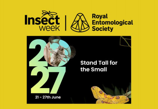 Insect Week 2027