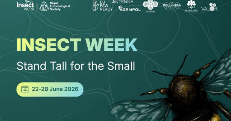 Find the mystery species: PollinERA celebrated Insect Week with a special social media campaign