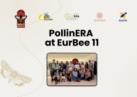 PollinERA presenting a new paradigm for pesticide environmental risk assessment at EurBee 11