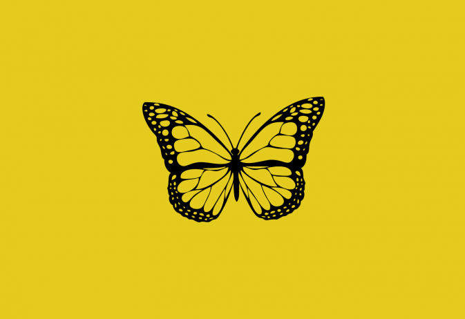 Butterfly Education and Awareness (BEAD) Day 2024