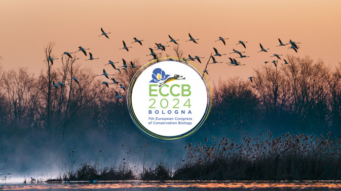 ECCB 2024