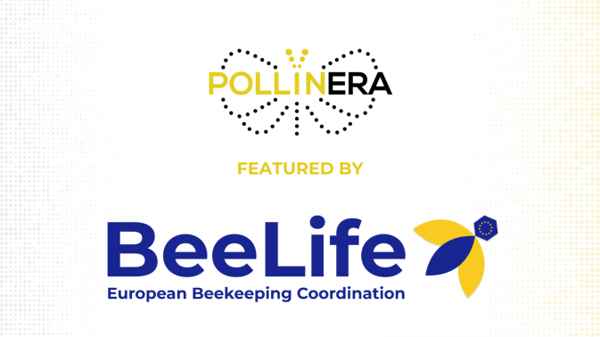 New feature: BeeLife sheds light on PollinERA’s mission