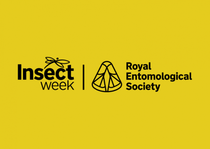Insect Week 2026