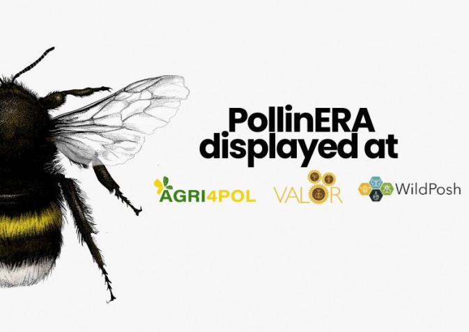 PollinERA project materials featured at recent pollinator project meetings