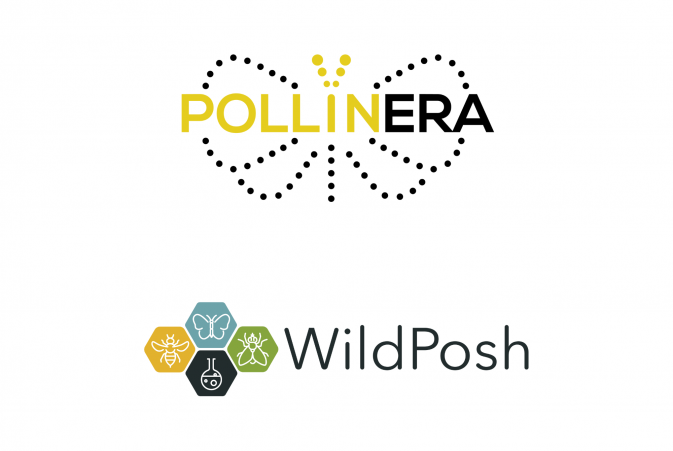 Towards a better understanding of exposure routes and toxicological and ecological impacts of chemical pollution on terrestrial biodiversity