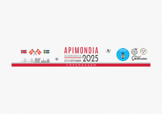 APIMONDIA 2025