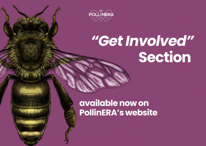 Get involved in PollinERA: New website section launched